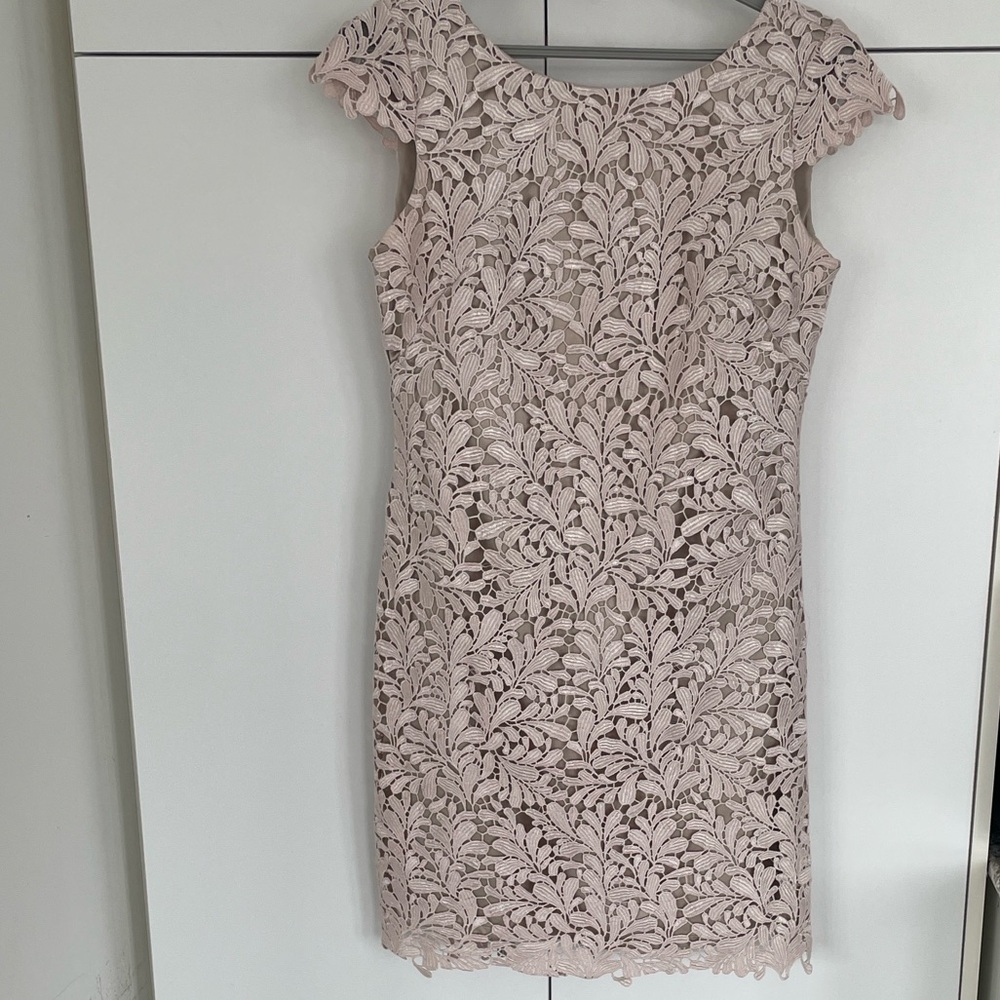 Eliza J Embroidered Powder Pink Lace Overlay Cocktail Dress - Size 4 - Picture 3 of 16